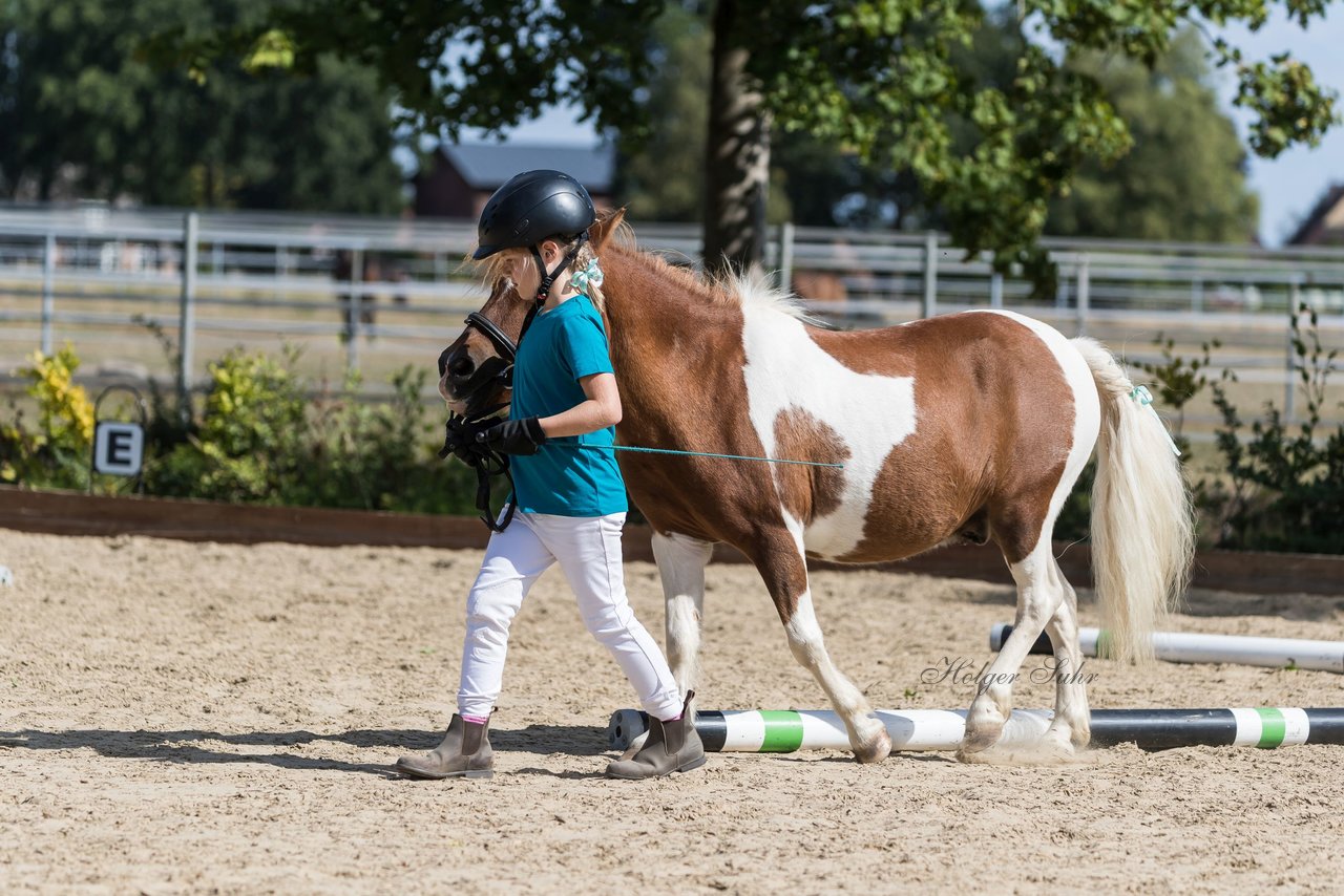 Bild 213 - Pony Akademie Turnier